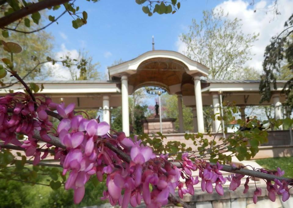 Апартамент 13 Hisarya Bagian luar foto