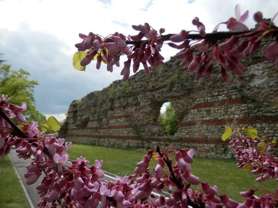 Апартамент 13 Hisarya Bagian luar foto