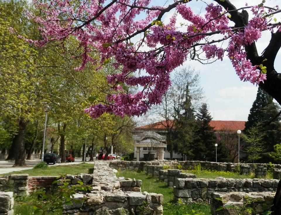 Апартамент 13 Hisarya Bagian luar foto